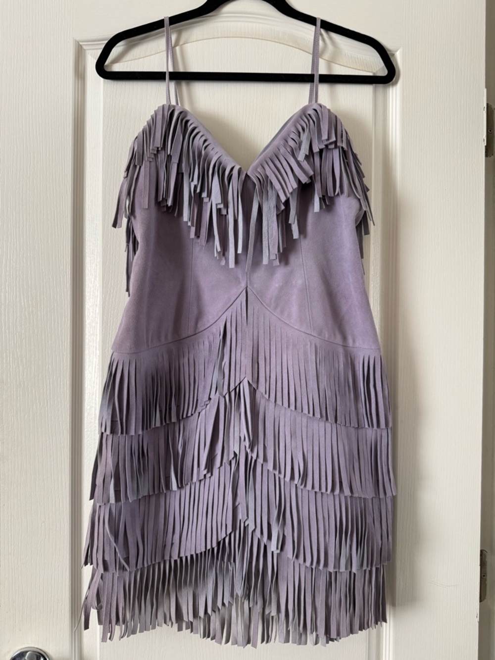 X by NBD Plume Suede Fringe Mini Dress